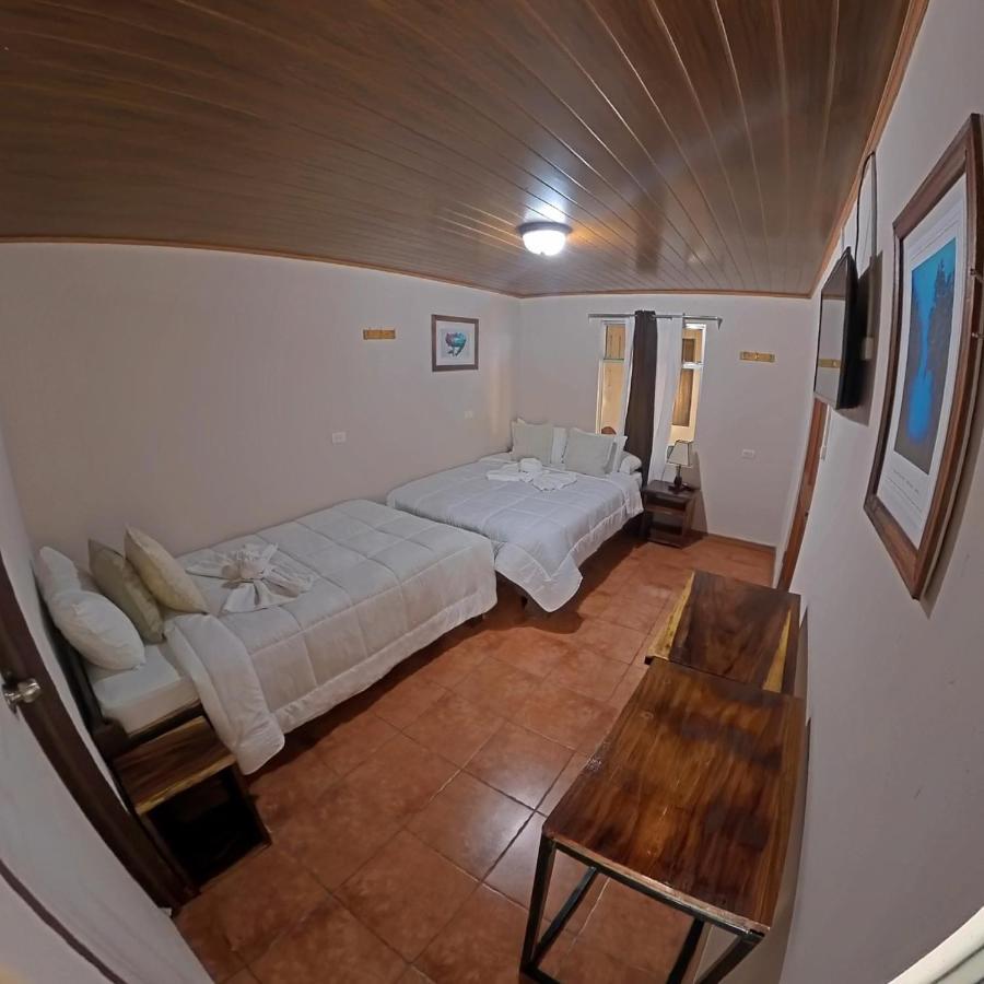 Casa Jungle Monteverde B&B 외부 사진