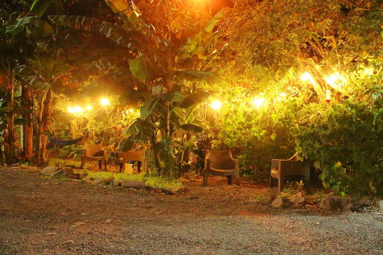 Casa Jungle Monteverde B&B 외부 사진