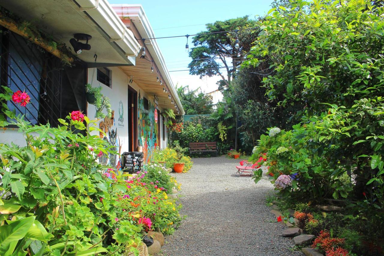 Casa Jungle Monteverde B&B 외부 사진