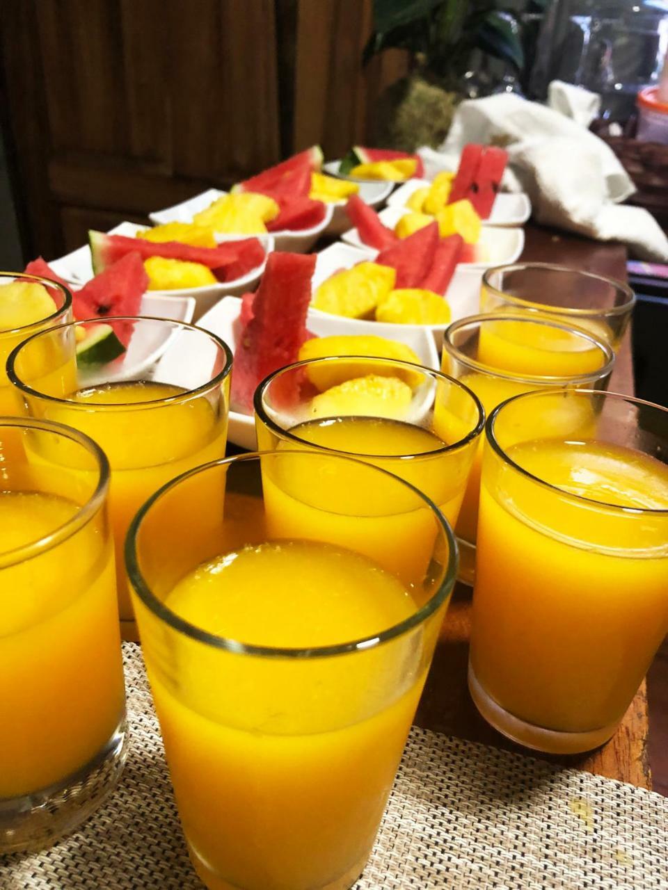 Casa Jungle Monteverde B&B 외부 사진